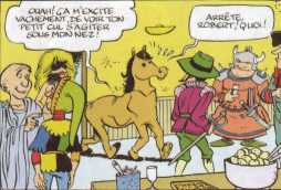 cavaliere.jpg