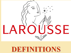 definitions_du_larousse.jpg
