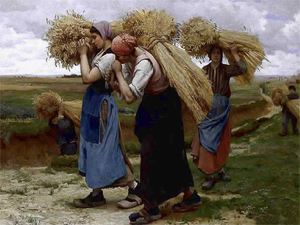 illustrations_de_campagne.jpg