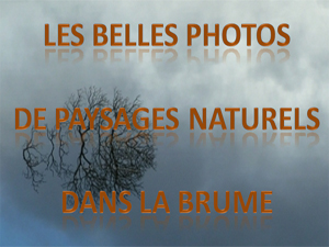 paysages_dans_la_brume.jpg