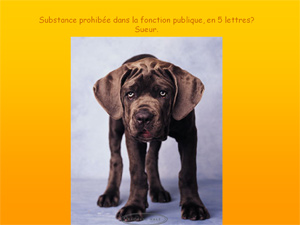 quelques_questions_existentielles.jpg