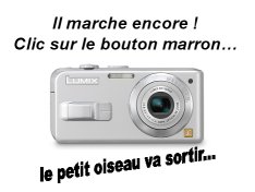 Recherche_couple.jpg