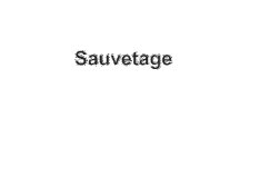 Sauvetage.jpg