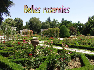des_belles_roseraies.jpg