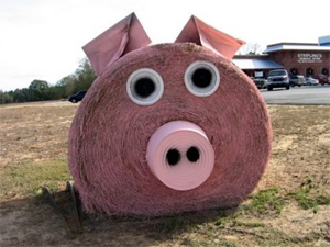 festival_botte_de_foin.jpg