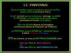 Pantanal