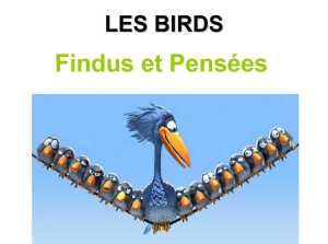 Birds_Fin-1