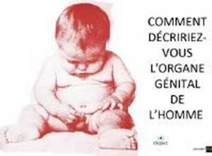 Les-miss-et-l-organe-de-l-homme
