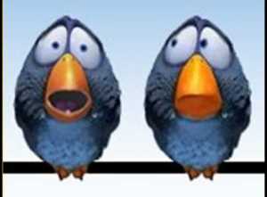 les_birds_et_la_politique_2