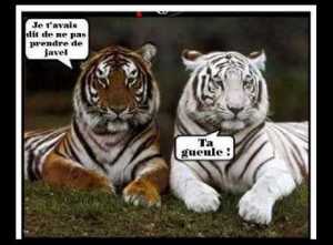 unpeudetout